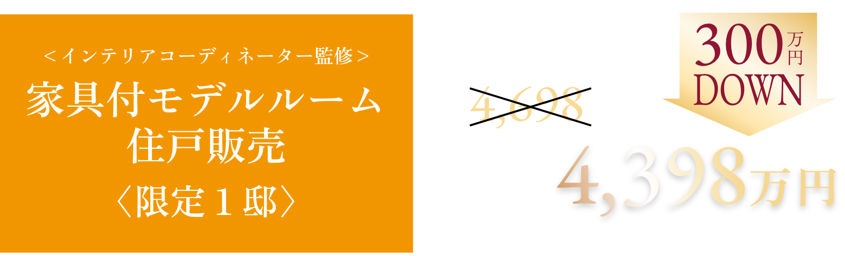 家具付モデルルーム  住戸販売〈限定１邸〉300万円DOWN 4,398万円